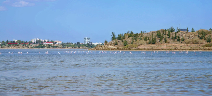 Larnaca & Divided Nicosia Sightseeing Tour from Paphos