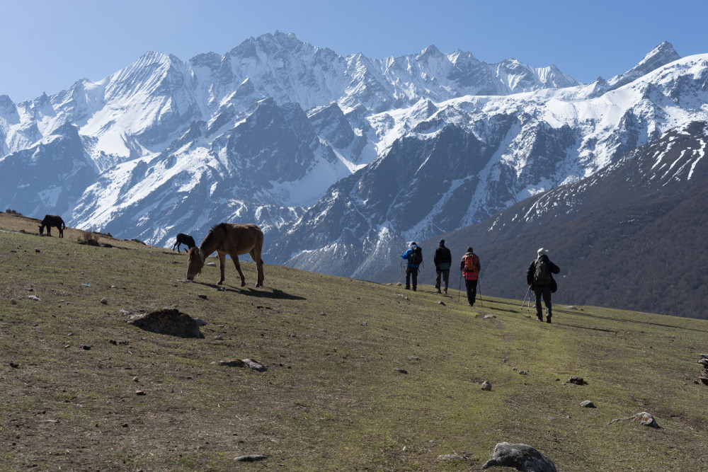 5 Day Langtang Valley Trekking Experience