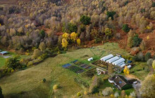 Highland Explorer Tours9