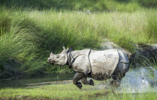 Marvel Treks and Expedition3