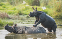 Marvel Treks and Expedition7