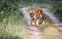 Marvel Treks and Expedition8