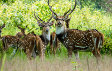 Marvel Treks and Expedition1