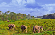 Marvel Treks and Expedition10