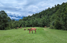 Marvel Treks and Expedition3