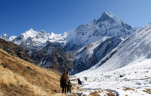 Marvel Treks and Expedition1