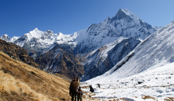 A picture of Annapurna Circuit Trek 2025/2026