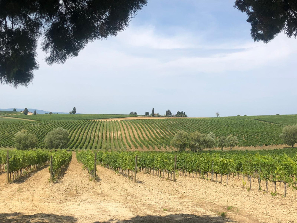 Private Tuscany Wine Tasting in Chianti with Private Transportation