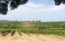 Italian ArtVentures Private Tours1