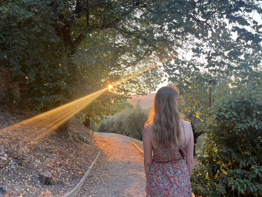 San Gimignano & Siena Tour with a Private Mercedes