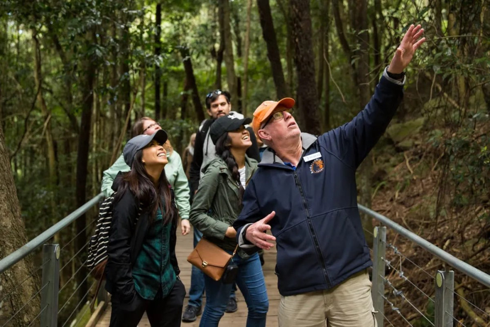 All Inclusive Small Group Blue Mountains Tour