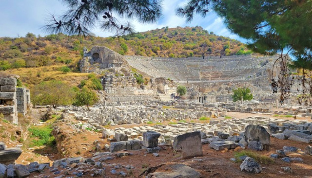 VANGUARD TRAVEL SERVICES