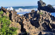 Zozo Travel Limited9