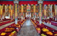 Marvel Treks and Expedition8