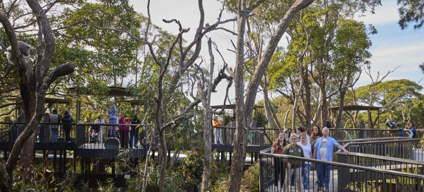 Taronga Zoo Aussie Backyard Adventure