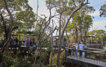 Taronga Zoo Sydney3