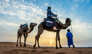 A picture of Private 2-Day Sahara Tour to Zagora Desert from Agadir