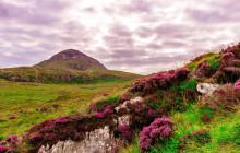 Ireland Wild Escapes5