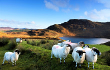 Ireland Wild Escapes6