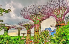 Hello! Singapore Tours12