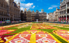 Global Enterprises bv5