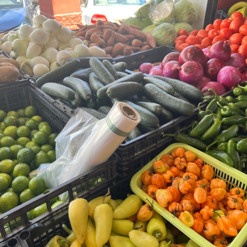 Market Tour And Cooking Class Experience in San Jose Del Cabo