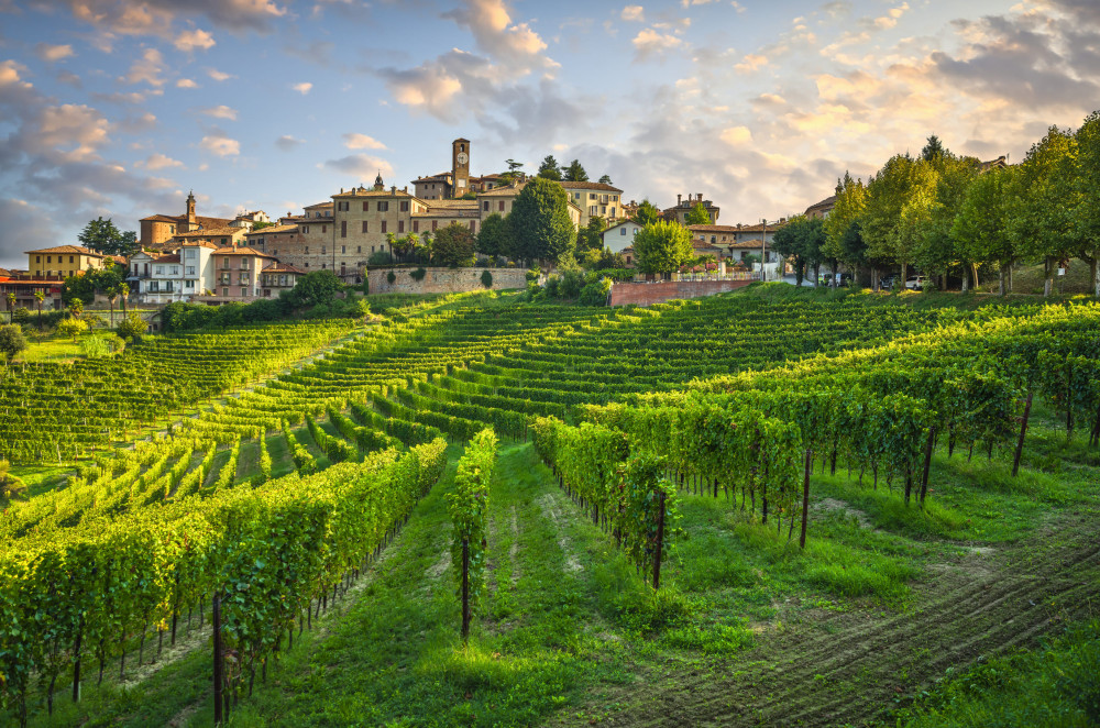 Barolo Cellar Tasting, Alba Town, and UNESCO Castle Heritage from Milan