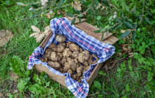 Eating Europe Food Tours - Berlin3
