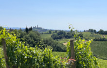 Italia Tours llc3