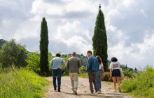 Italia Tours llc17