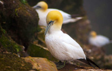 Highland Explorer Tours9