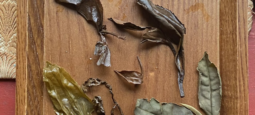 Private Taipei Tea Tasting Experience with Angela