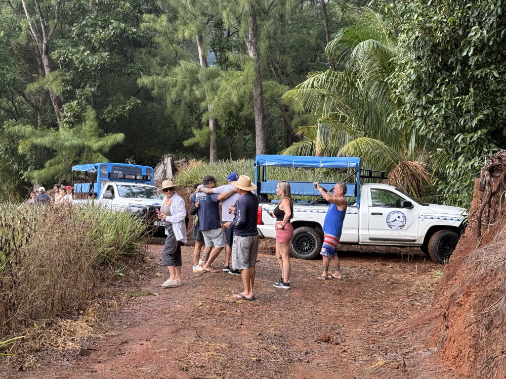 4WD Tour Of Mo’orea