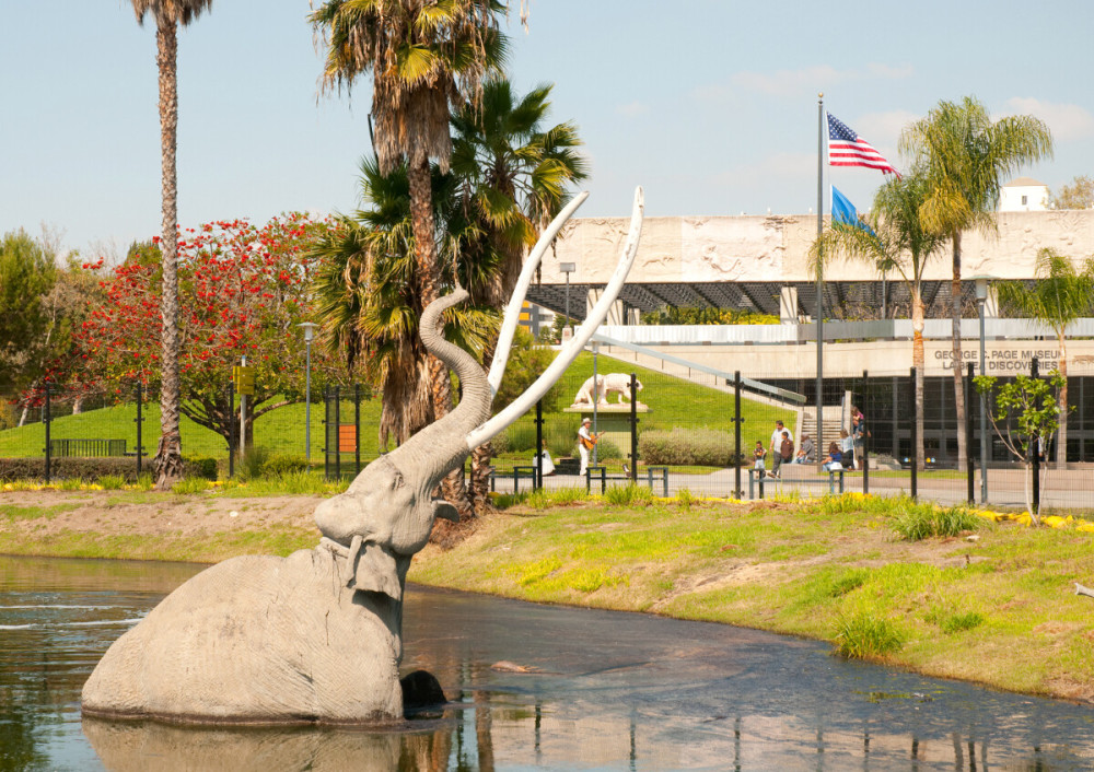 Go City | Los Angeles All-Inclusive: 35+ Attractions with Warner Bros ...