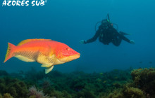Azores SUB6