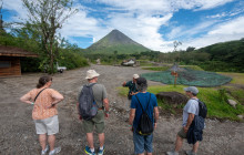 Jacamar Naturalist Tours3