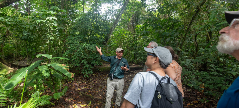 Arenal Volcano Hike Tour