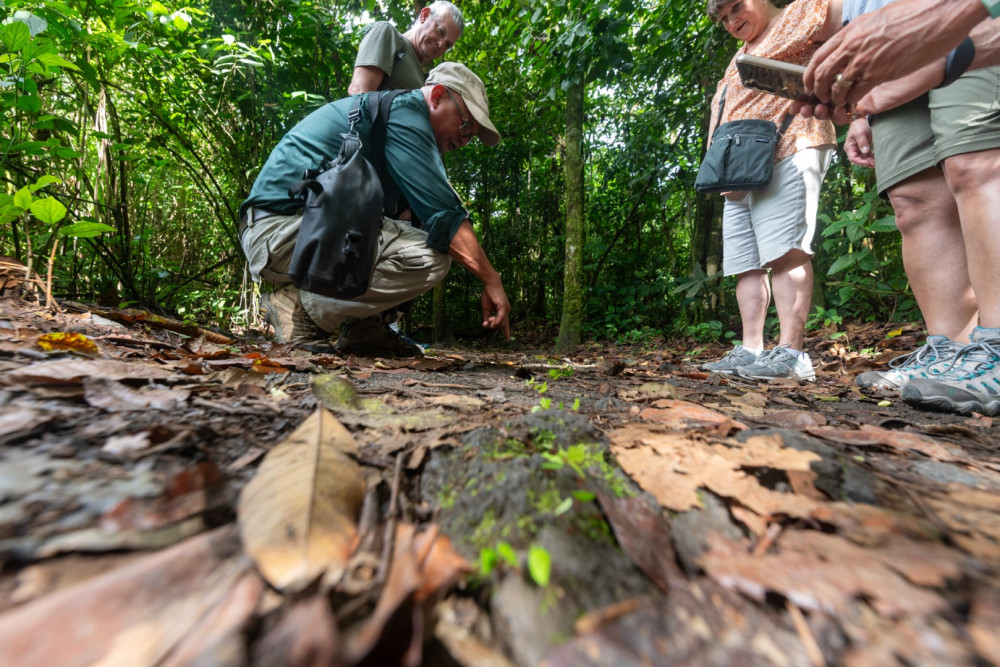 Jacamar Naturalist Tours