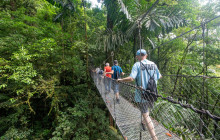 Jacamar Naturalist Tours4