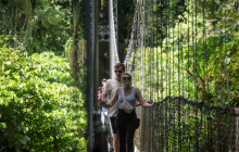 Jacamar Naturalist Tours5