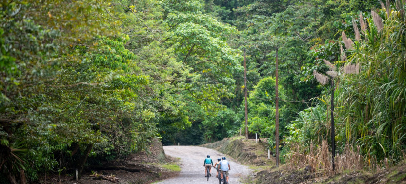 Biking Tour Around the Arenal Lake