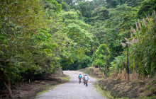 Jacamar Naturalist Tours2