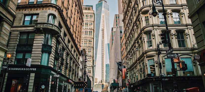 Lower Manhattan and the 9/11 Memorial Semi-Private Guided Walking Tour