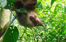 Jacamar Naturalist Tours4