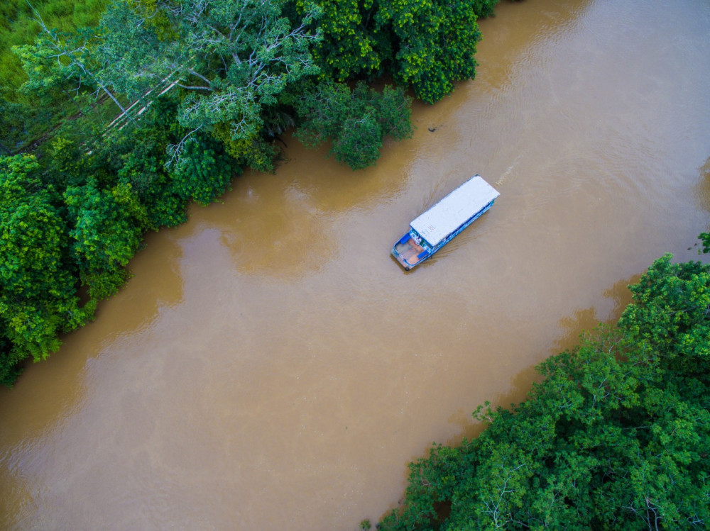 Caño Negro by Boat 