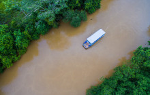 Jacamar Naturalist Tours1