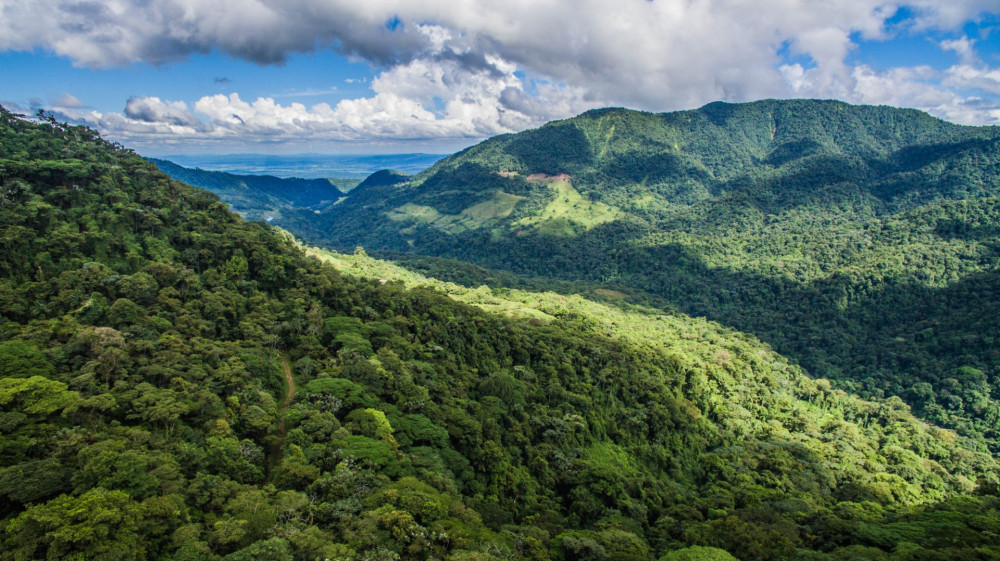 Children’s Eternal Rainforest Hike