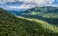 Jacamar Naturalist Tours1