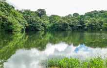 Jacamar Naturalist Tours7