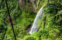 Jacamar Naturalist Tours8